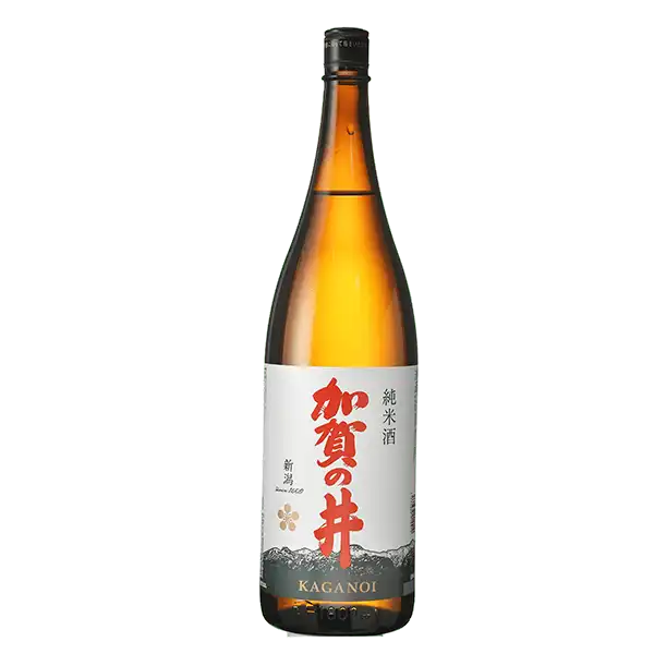 加賀の井 純米酒